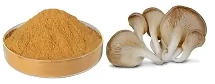 Pleurotus Extract2.webp.jpg